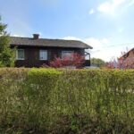 Arche Noah Tierhilfe e.V. – Seeg