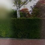 Tierschutzverein Bad Homburg E.V. – Bad Homburg vor der Höhe
