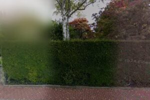 Tierschutzverein Bad Homburg E.V. – Bad Homburg vor der Höhe