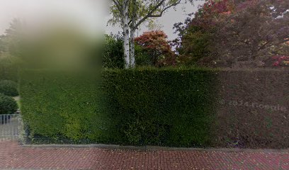 951d4dff3c22e9fcc4a2707009f45ea8 7