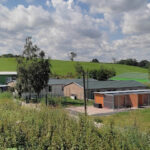 aktion tier Tierheim Meißen | TSV Meißen Winkwitz e.V. – Meißen