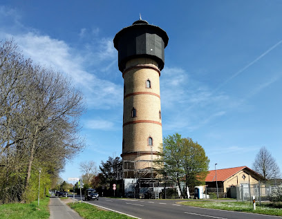 Tierschutz Hanau (Tierheim) - Hanau 1 AF1QipMD5sDwpDymaX Pf83T 4ELibPmFeDNlgY842UTw408 h317 k no