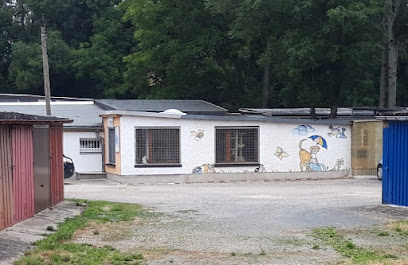 Tierheim Schmölln - Schmölln 1 AF1QipMNW1rAwS0krCuR5xPyKrgGthy5GzGPzT YgLnNw408 h265 k no