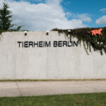 Tierheim Berlin – Berlin