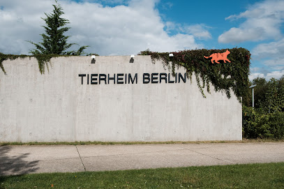 Tierheim Berlin - Berlin 1 AF1QipNcAOn6x4kDNHeXCAi0DXzLuq1RYvNVYtU gTP9w408 h271 k no