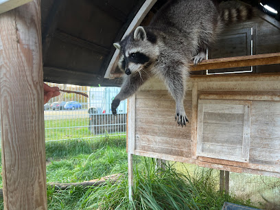 Arche KaNaum - Stiftung für Tierschutz - Bad Arolsen 1 AF1QipNuIT4zmlij8O4U0OMiE3ovuLBDntw7r8KDQ9ow408 h306 k no