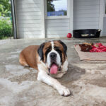 AF1QipO04JZT3VsZGCqjZba VDii9JuhvSsAlVDg79q4w408 h725 k no