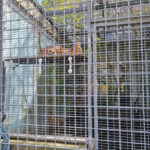 Tiermedizinische GmbH – Tierschutz München – München