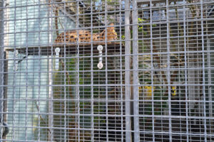 Tiermedizinische GmbH – Tierschutz München – München