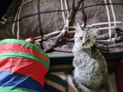 AF1QipOFzLHj8X7fb7j17BEBovTb7PmE1OsqIKjVKHQPw408 h305 k no