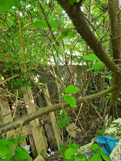 AF1QipOGEkjonF4ZoH1m 3N90BaKo1eN1Y9XT9ei k ew408 h544 k no