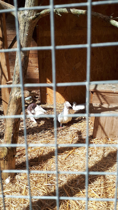 Tierschutzverein Tierheim Lichtenfels - Lichtenfels 1 AF1QipO VtyAmBwLiP9QMDZxgVtpOxnTZieYvzXNf3bLw408 h725 k no