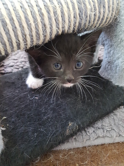 AF1QipOhIVgztTv4t FCPYVy Wd9beNL5Dyr3tV1Fuz8w408 h544 k no