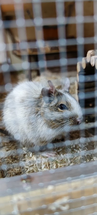 Tierheim Stuttgart - Stuttgart 1 AF1QipP let3TWDx55gkaM8qrgwDzOoeqSxDuZsCbn 4w408 h906 k no