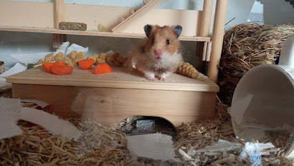 AF1QipPG8XcYqqEgAGa95OzP6BBEP9 2wdXkeWzWr7ISw426 h240 k no