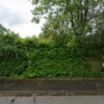 Sonnenhof Blomesche Wildnis – Blomesche Wildnis
