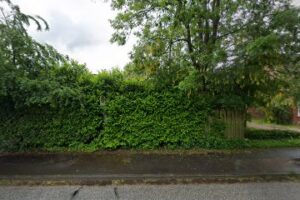 Sonnenhof Blomesche Wildnis – Blomesche Wildnis