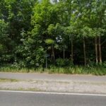 Projekt Kitty Berlin/Brandenburg im Tierheim Zossen – Zossen