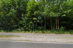 Projekt Kitty Berlin/Brandenburg im Tierheim Zossen - Zossen 8 Projekt Kitty Berlin/Brandenburg im Tierheim Zossen – Zossen