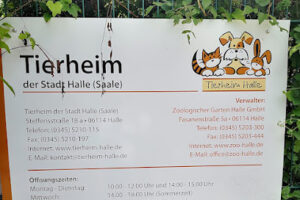 Tierheim Halle - Halle (Saale) 5 Tierheim Halle – Halle (Saale)