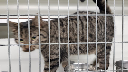 Tierheim Rote Erde - Neuenkirchen 1 AF1QipMVqoRe1pJbHVu3NpnDbS4INepRM5HyHy TtYIEw426 h240 k no