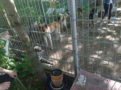 Tierschutzzentrum Merseburg Tierschutzverein-Querfurt e.V. - Merseburg 1 AF1QipN9smU0FVDdvo6NdJ0bCwDLQpfBaFo5rQZyMiMGw408 h306 k no