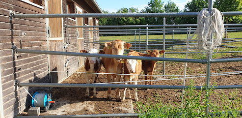 Tierhotel Konrad GmbH - Rimpar 1 AF1QipNCWxYvr4C07AV2Vh0LE U J7RcRneLNhl0RrlBw493 h240 k no