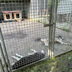 Tierheim Dellbrück – Köln