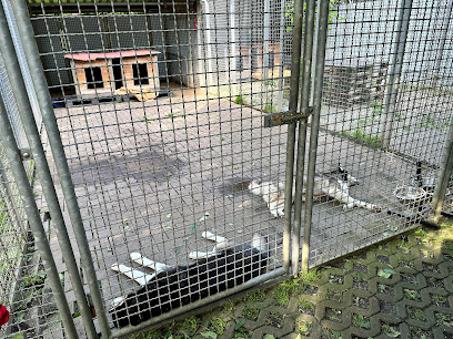 AF1QipNHqtysHQWMy6 XvCt1aG6WeaAV3Prkbau3ek Tw408 h306 k no