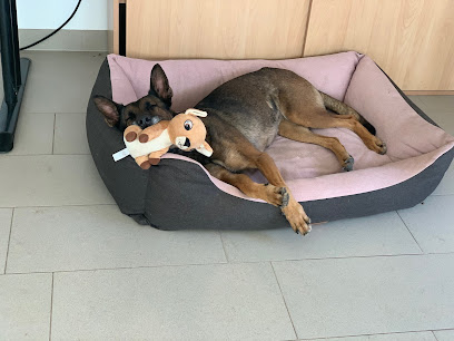 Tierheim Emden - Emden 1 AF1QipNiVk390nUNPWLHIlsPSx3S2zLr budaHUAFTzDw408 h306 k no