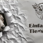 Einfach Tierschutz e.V. – Frechen