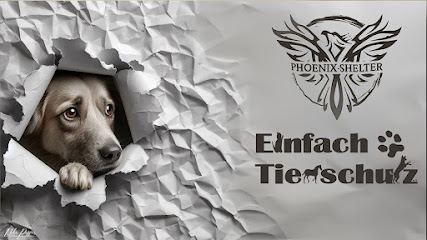 Einfach Tierschutz e.V. - Frechen 1 AF1QipO0JWERX35nZ8oTq4hIrm8lF xcFH2hRR0MTOfAw427 h240 k no