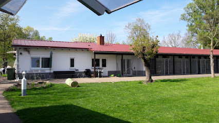 Tierschutzverein Kehl - Kehl 1 AF1QipO9tn5Bw9b97HbBOPDutVhM0NW04fsXUa4qQgrnw426 h240 k no