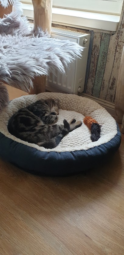 AF1QipOH5vlq1KyP 0YmFmTD9d PwoR0e5QqKVbIg2YHw408 h839 k no