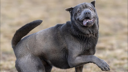 AF1QipOfjzS6NxUYSqbTY8 5l9ujzZO3NIdV3u A BzWw428 h240 k no