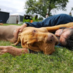 Tierheim Schöningen – Schöningen