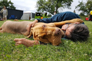 Tierheim Schöningen – Schöningen