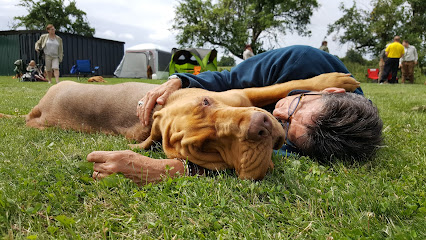 AF1QipOfkmn5e4L9Aon9WKaeKeGVritT2M6ST6 s45z3w426 h240 k no