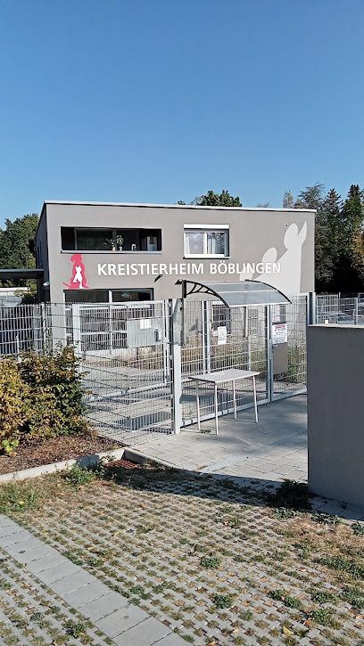 AF1QipOhdEhCV0n9QJu5W4VRoR1hNYPL2qZ4XlgKVFGLw408 h725 k no