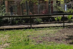 Tierheim Soest - Soest 5 Tierheim Soest – Soest