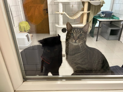 Tierheim und Tierschutz Recklinghausen e.V. - Recklinghausen 1 AF1QipOvg yaPaeG6YuFdo8JzNTGVNcAWfhzE9LD dViw408 h306 k no