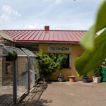 Tierschutzverein Lampertheim e.V – Lampertheim