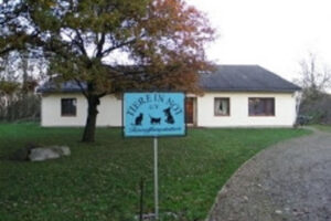 Tiere in Not e.V. - Osterholz-Scharmbeck 8 Tiere in Not e.V. – Osterholz-Scharmbeck