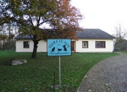 AF1QipP5G5j SmHvfzxYJjzLEZ72cL7sHkQuMOnXTybEw408 h297 k no