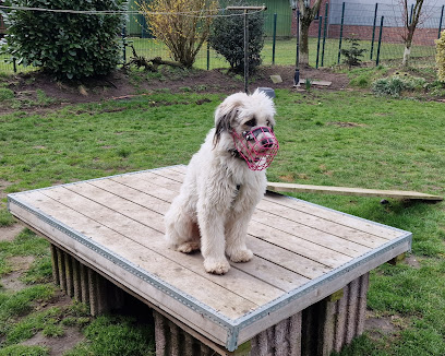 AF1QipP7OcR1TcLqQ28cICX1eZFDIJg0FbvJJ8ozaxntw408 h326 k no