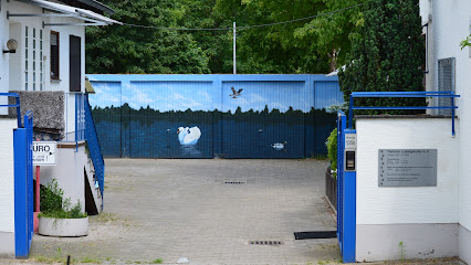 Tierheim Ludwigshafen e.V. - Ludwigshafen am Rhein 1 AF1QipP8H3qv8 tQhRsIDGBnx2IS8oMR7zyk xZoeSHlw426 h240 k no