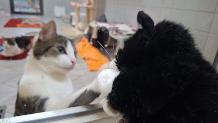 AF1QipPEgKTMIoVPOjAHBsZDg52v NwypUWIEDr8vCcUw426 h240 k no