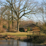 Tierheim & Pension Bergedorf – Ganderkesee