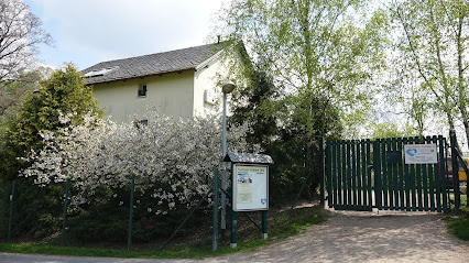 Tierheim Gröbern - Niederau 1 AF1QipPLZZdc Dxtr5WJzNmDPvZUpgfjWxMk GJBO7kRw426 h240 k no