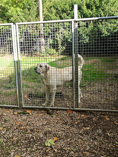Kölner Tierschutzverein - Köln 1 AF1QipPWuFzJtAYDp2m iD22mWUJFsEKh ndilSAXMk0w408 h543 k no